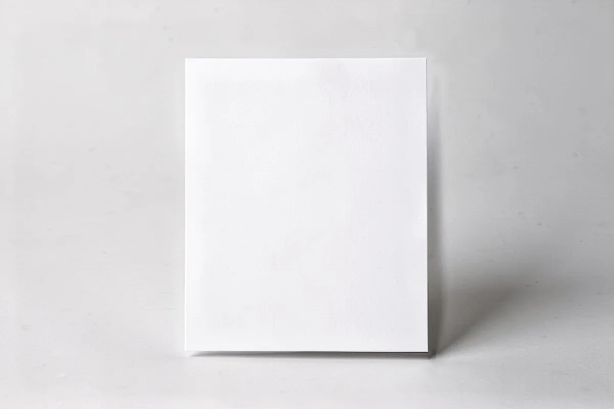 minimalist white wedding invitation clean typography single leaf modern elegant